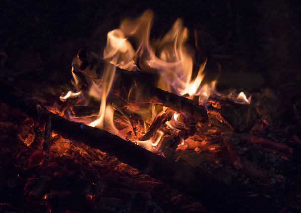 Détail rapproché de la combustion de bois sur un petit feu de joie avec des braises lumineuses
 - Photo, image