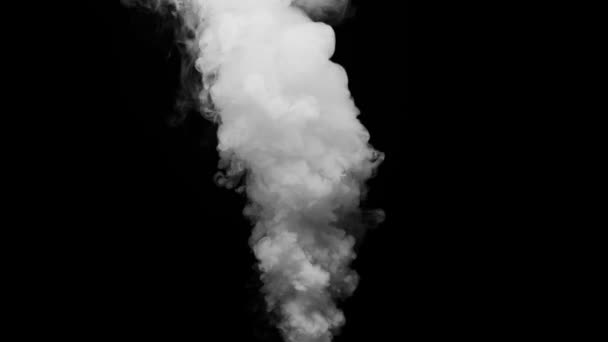 Fumée blanche sur fond noir - Séquence, vidéo