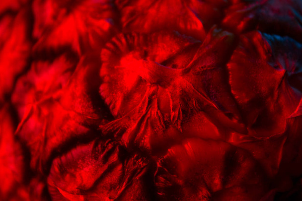 Close up texture of fresh ripe pineapple in neon light - Valokuva, kuva