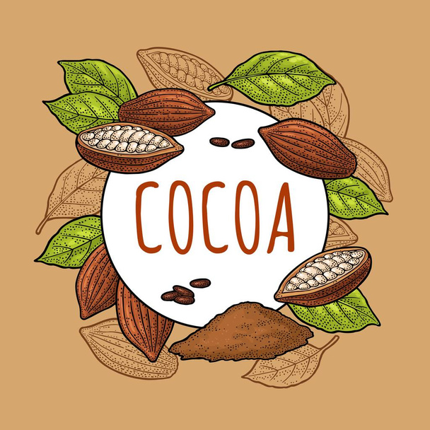 Fruits of cocoa with leaves and beans. Vector vintage black engraving illustration. Isolated on white background. Hand drawn design element for label and poster - Vektor, Bild