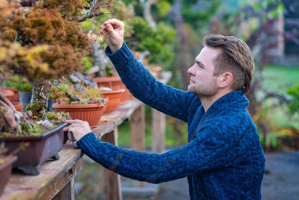 Young man with asian bonsai tree. Small business concept - Photo, Image