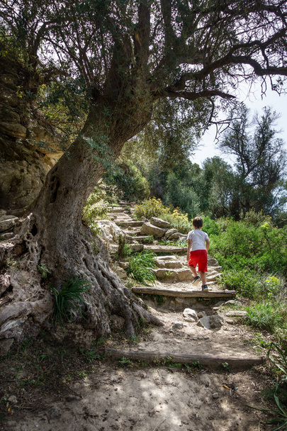 Jongen klimmen stappen te midden van weelderig loof op Kreta, Griekenland, Europa - Foto, afbeelding
