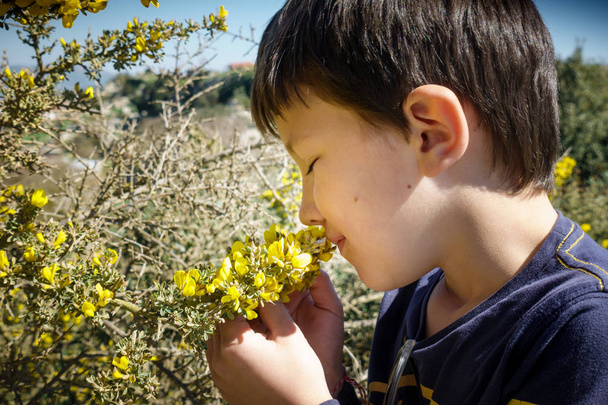 jongen ruiken gele bloemen met ogen gesloten  - Foto, afbeelding