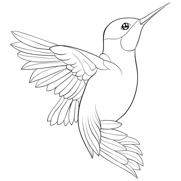 A cute flying hummingbird image for relaxing.A coloring book,page for adults and children.Line art style illustration for print.Poster design. - Vektor, obrázek