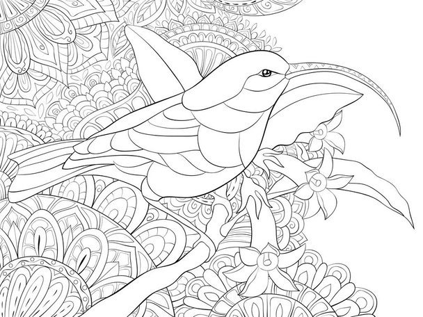 Ein niedlicher Kolibri auf dem Brunch mit Blättern und Blumen auf dem abstrakten Hintergrundbild zum Entspannen. Ein Malbuch, eine Seite für Erwachsene. Illustration im Zen-Stil für Print.Posterdesign. - Vektor, Bild