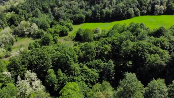 Luftdrohne über dem osteuropäischen Hügelwald abgeschossen. Saftig grüne Bäume und blauer Himmel im Sommer. Schuss in 4k (uhd). - Filmmaterial, Video