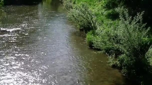 Tiszta folyóvíz a széles országon keresztül - Felvétel, videó