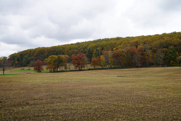 Сцена осеннего парка с зеленой лужайкой и желтыми лиственными деревьями
 - Фото, изображение