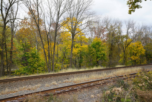 rautatie kappaleita syksyllä kohtaus keltaisia puita
 - Valokuva, kuva