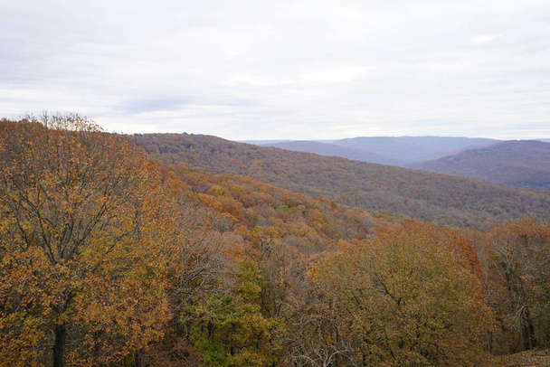 bergachtig landschap, gele foliaged bos - Foto, afbeelding