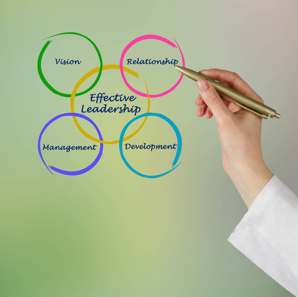 Components of Effective Leadership	 - Fotografie, Obrázek