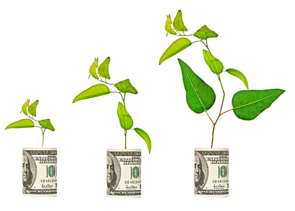  saplings growing from dollar bill - Photo, Image