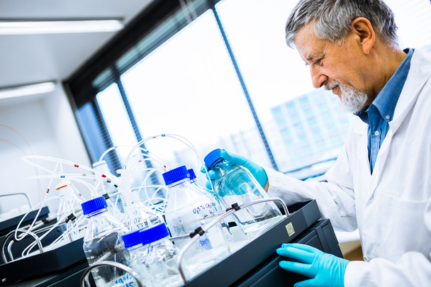 Senior male researcher carrying out scientific research in a lab - Photo, image