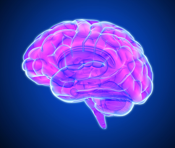 3D paars roze gloeiende xray hersenen illustratie geïsoleerd op donker blauwe achtergrond met uitknippad voor die-cut als u wilt gebruiken in een achtergrond - Foto, afbeelding