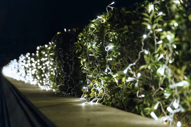 LED garlands in the street - Zdjęcie, obraz