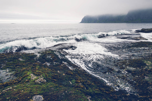 Волны, обрушившиеся на побережье в туманный день на острове Сенья, Норвегия
. - Фото, изображение