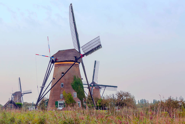 Миллеры в Голландии в пасмурный день - Фото, изображение