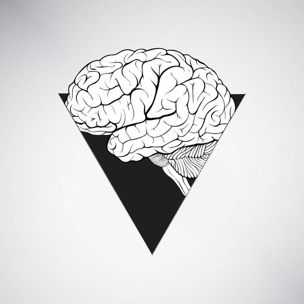 menschliches Gehirn in einem dreieckigen Fenster abstrakte Form als Symbol der aspi - Vektor, Bild