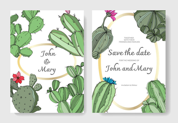 Vektor zöld kaktusz virág botanikai virág. Vésett tinta art. Esküvői háttér kártya virágos dekoratív határok. - Vektor, kép