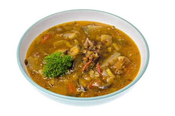 Sopa de verduras calientes con berenjenas y lentejas. Estudio foto
 - Foto, imagen