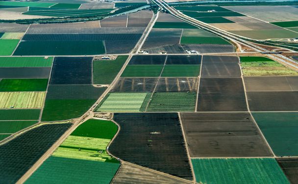 Kalifornie zemědělské půdy v blízkosti města Salinas a Monterey. Snímek byl pořízen na začátku července. - Fotografie, Obrázek