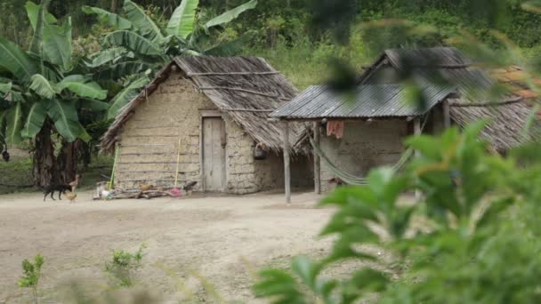 Videó a bennszülött házak - Felvétel, videó