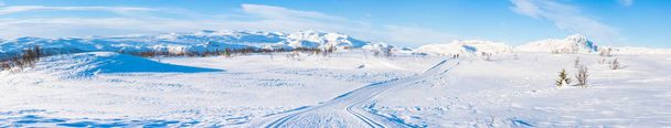 Wide panoramic view of snowy landscape with cross country ski track in Beitostolen. Winter in Norway - 写真・画像