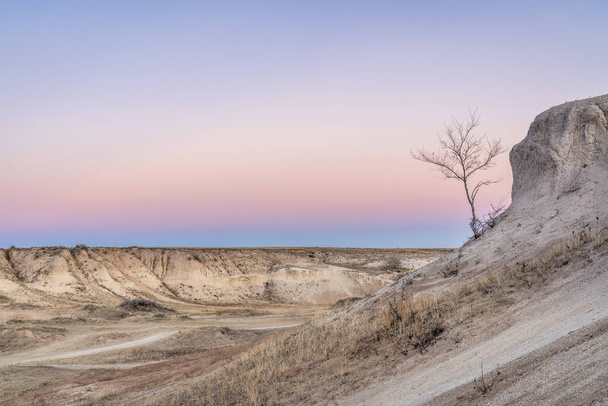 Winter dusk over badlands in Pawnee National Grassland with a lonely tree - Foto, afbeelding