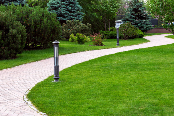 Sidewalk in the backyard of the mansion with green lawns, bushes and pine trees. - Foto, imagen