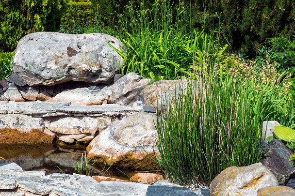 The landscape of the pond decor is a large light stone and green plants with reeds. - Foto, immagini