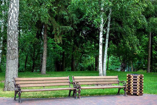 лавки з залізними кованими ніжками і дерев'яними сидіннями з дерев'яним сміттєвим баком в парку для відпочинку на фоні зеленої трави і високих листяних дерев
. - Фото, зображення