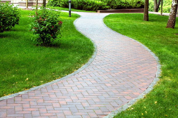 Pedestrian pavement paved with tiles, wavy pavement for walking in a park area with a green lawn. - Photo, Image