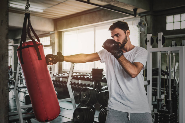 Portrait sporty men with the back boxing gloves training at the gym - Foto, imagen