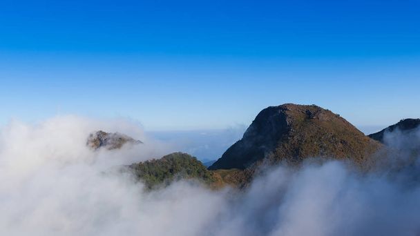 Doi Luang Chiang Dao Mountain with cloud in the morning. - 写真・画像