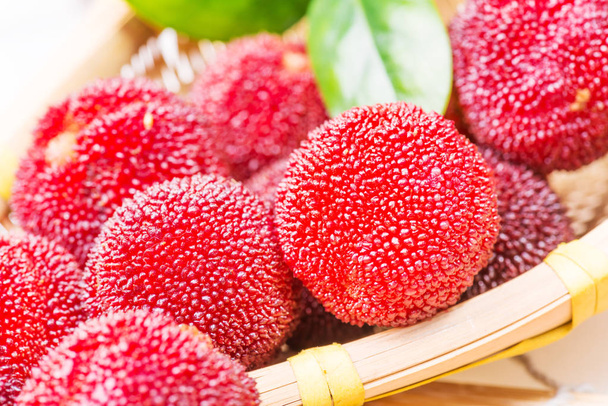 red and ripe sweet waxberries - Foto, Bild