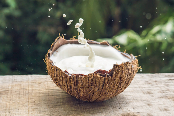 Coconut fruit and milk splash inside it on a background of a palm tree - Foto, Imagem