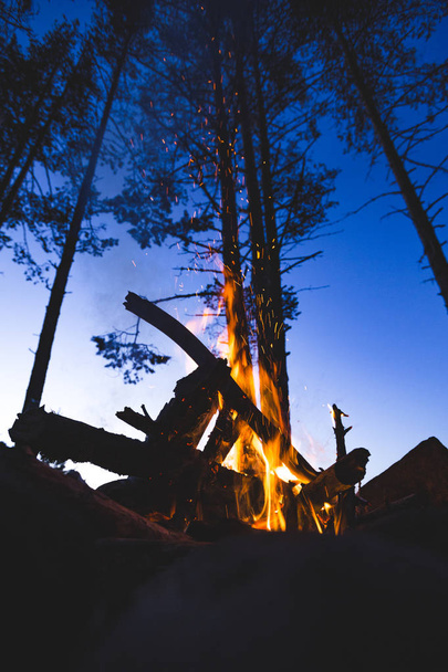 Vuur verbrandt in het forest van de nacht - Foto, afbeelding