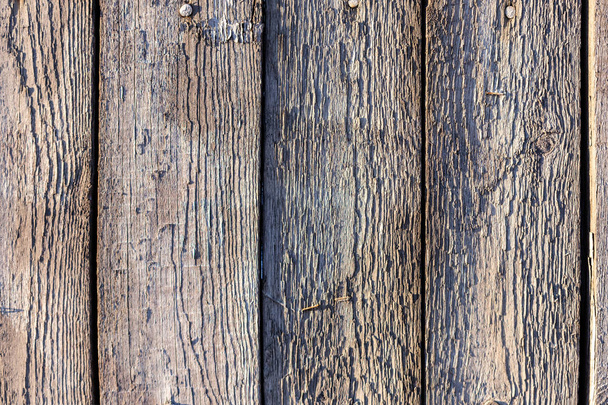 Wood texture background coming from natural tree. Wooden panel with beautiful patterns. Copy space. - Fotoğraf, Görsel