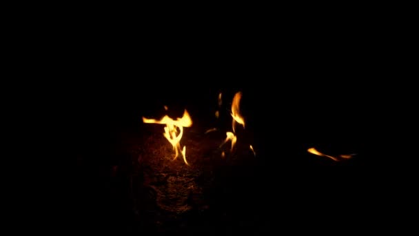 Feuer brennt auf dem Boden - zusammengesetztes Element - Filmmaterial, Video