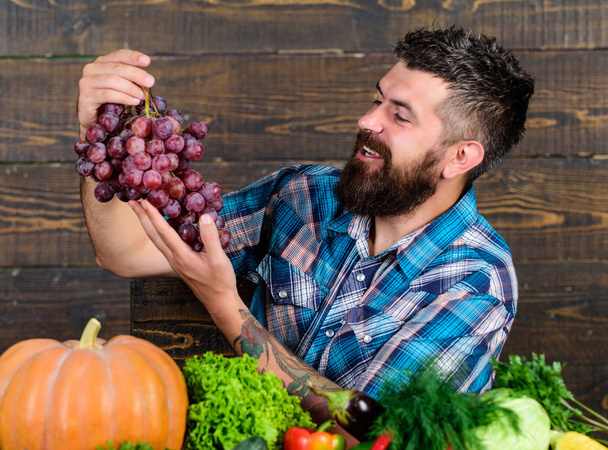 Man hold grapes wooden background. Vegetables organic harvest. Farming concept. Grapes from own garden. Farmer bearded guy with homegrown harvest on table hold grapes. Farmer proud of grapes harvest - Fotó, kép