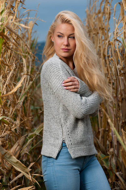 Blog style fashion photo of cute blond woman on corn field in late autumn - Фото, зображення