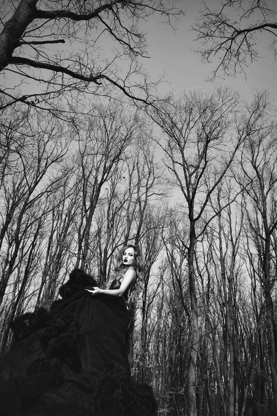 elegant young woman in forest - Photo, Image