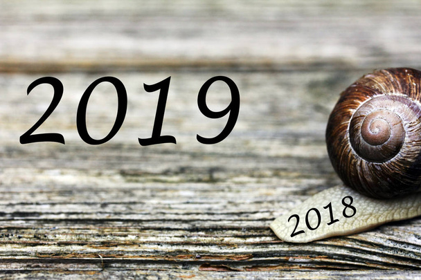 2018 είναι πάνω, ξεκινά το 2019. Δύο σαλιγκάρια και μια ξεθωριασμένη πικραλίδα σε μια ξύλινη επιφάνεια - Φωτογραφία, εικόνα