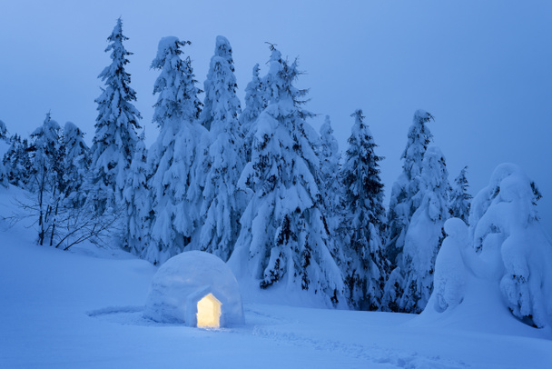 Igloo snow in a mountain forest. Night view with snowy fir trees. Dreamy winter scene - Photo, Image
