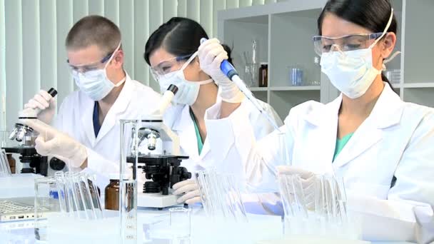 τρεις φοιτητές στο εργαστήριο ιατρικής έρευνας - Πλάνα, βίντεο