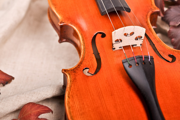 Close up of a violin and autumn leaves - Photo, Image