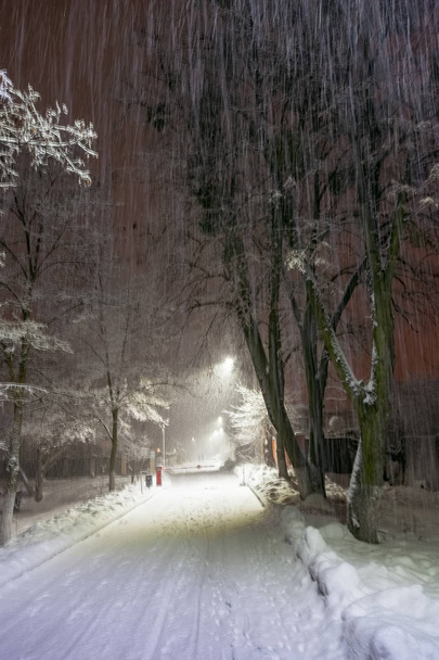 Paisaje nocturno de invierno con copos de nieve que caen, árboles helados de invierno y farolas - Foto, Imagen
