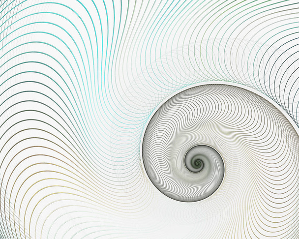 Αφηρημένο fractal σπείρα. Κέλυφος φόντο, συμμετρία σπείρα Fibonacci ενότητα shell. Μισό Σταυρός, χρυσή αναλογία δομή, επιταχύνεται η ανάπτυξη κοντά Ναυτίλος Πομπίλιος - Φωτογραφία, εικόνα