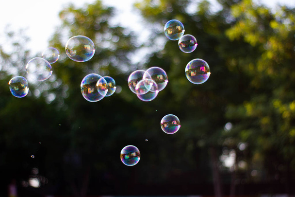 Burbujas en el parque al aire libre al atardecer
 - Foto, imagen