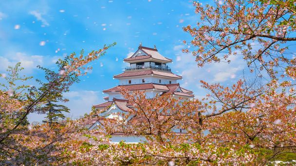 aizuwakamatsu κάστρο και κεράσι ανθίσει στη Φουκουσίμα, Ιαπωνία  - Φωτογραφία, εικόνα